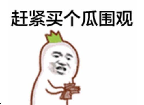 吃瓜群众小老弟是谁,网络红人的崛起之路