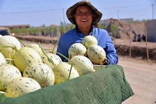 我是一个吃瓜群众原版,网络时代的围观者与传播者