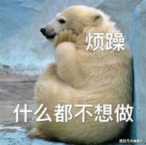 吃瓜群众闭眼图片大全,揭秘吃瓜群众闭眼图片大全