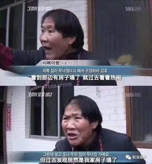 紫薇星吃瓜群众,揭秘娱乐圈吃瓜群众的狂欢盛宴