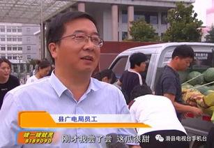 回村当吃瓜群众,见证乡村变迁的点滴故事