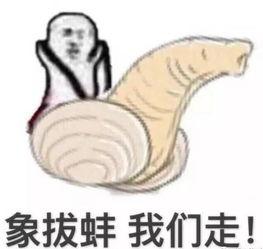 吃瓜群众猪表情包,吃瓜群众猪表情包带你笑翻网络