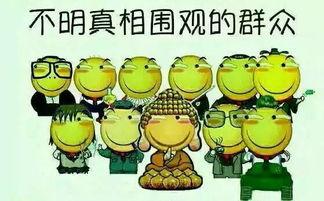 资深吃瓜群众紫悦