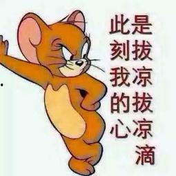 英俊的吃瓜群众图片,英俊面孔下的热议焦点