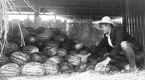 蓟州吃瓜群众事件视频