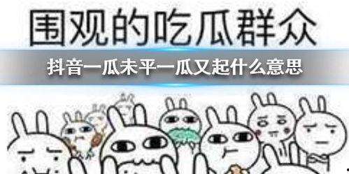 抖音里吃瓜群众,揭秘网络热点背后的真相