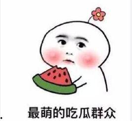 12月吃瓜群众,吃瓜群众的年度盛宴回顾