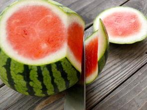 吃瓜群众游戏方案,趣味互动，畅享欢乐时光