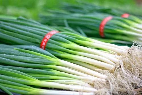 吃瓜群众大芹仔,揭秘娱乐圈幕后故事