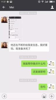 吃瓜群众微信群聊,揭秘网络社交背后的趣味与争议