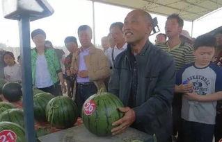 广州吃瓜群众东北女孩,独特魅力与生活趣事