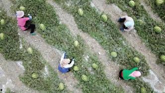 山洪爆发吃瓜群众视频播放,吃瓜群众现场直播见证大自然力量