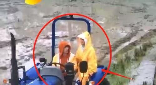 拖拉机吃瓜群众,拖拉机与吃瓜群众的欢乐田园生活