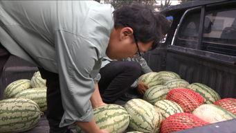 吃瓜群众的开心生活视频,跟随吃瓜群众共享欢乐时光