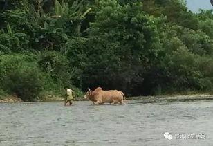 深山下的吃瓜群众是谁,网络热词背后的故事