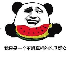 吃瓜群众有哪些网名