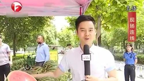 合肥市吃瓜群众,一网打尽城市新鲜事