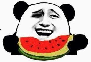 吃瓜群众妻子视频大全下载,下载背后的故事与真相