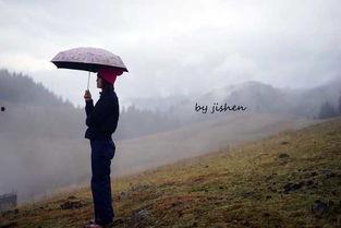 树下的吃瓜群众图片高清,夏日街头众生相