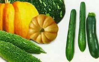 吃瓜群众小扁豆,揭秘娱乐圈那些事儿