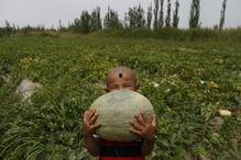 吃瓜群众岱岱图穷 匕现,揭秘吃瓜群众的背后真相