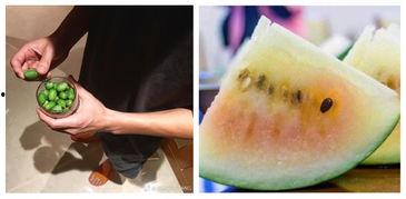 吃瓜群众说说大全,揭秘网络热议背后的真相与笑料