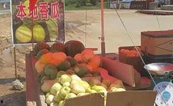 新华区吃瓜群众,揭秘社区生活点滴