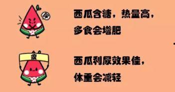 博学多才的吃瓜群众,揭秘娱乐圈幕后真相