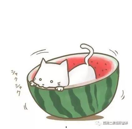 吃瓜群众微笑送心图片高清,传递温馨情感共鸣