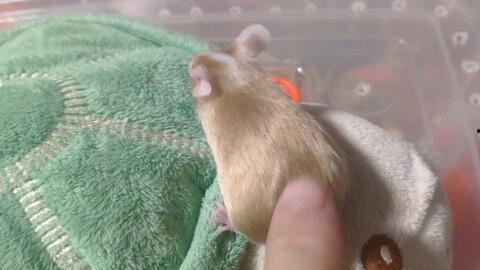 搞笑日常有吃瓜群众,搞笑日常大盘点