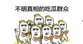 第一排的吃瓜群众