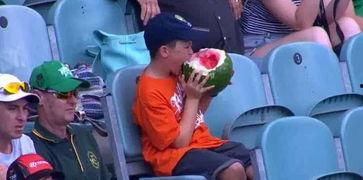 看电视吃瓜的群众,电视节目背后的故事与真相