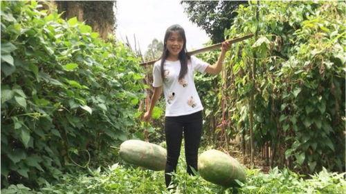 吃瓜群众看到了自己的视频,我的视频意外走红网络