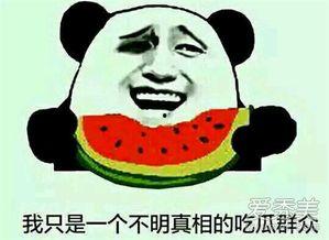 吃瓜群众是什么意思知乎
