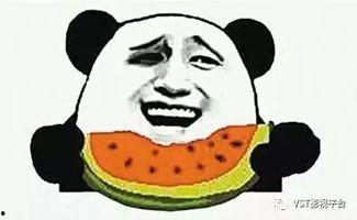 吃瓜群众变红码怎么办,吃瓜群众如何应对突如其来的身份标签？